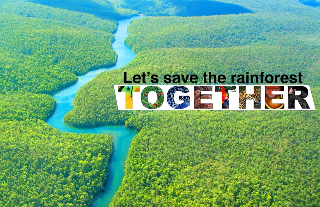 saving the rainforest